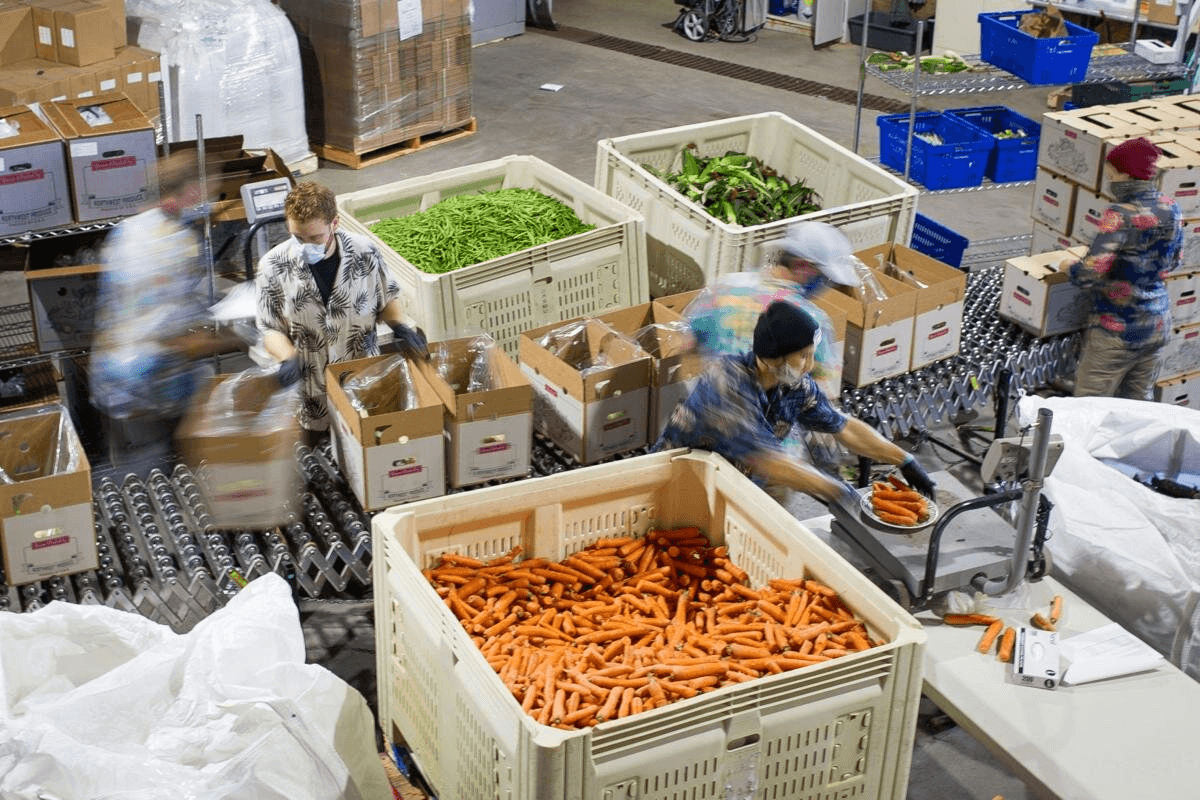 Cooperative Development Image 2